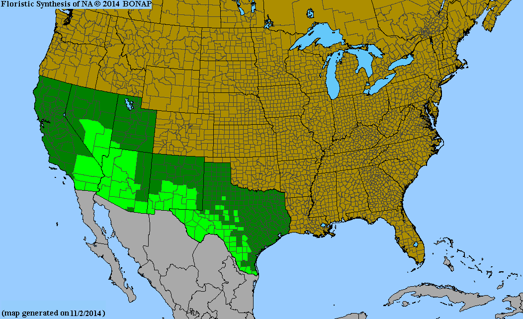 County distribution map of Tiquilia canescens var. canescens - Woody Crinklemat